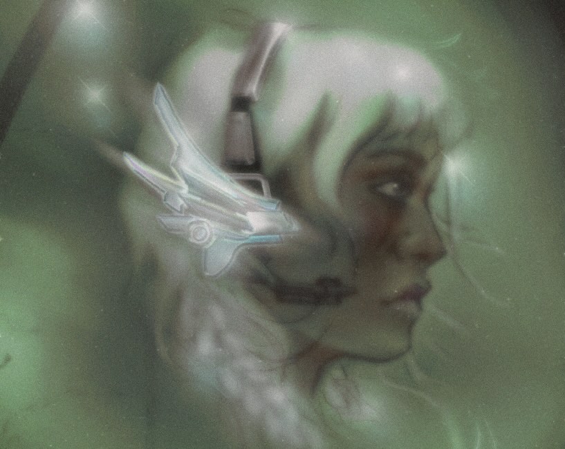 Complete brand identity package including logo, color palette, and visual guidelines